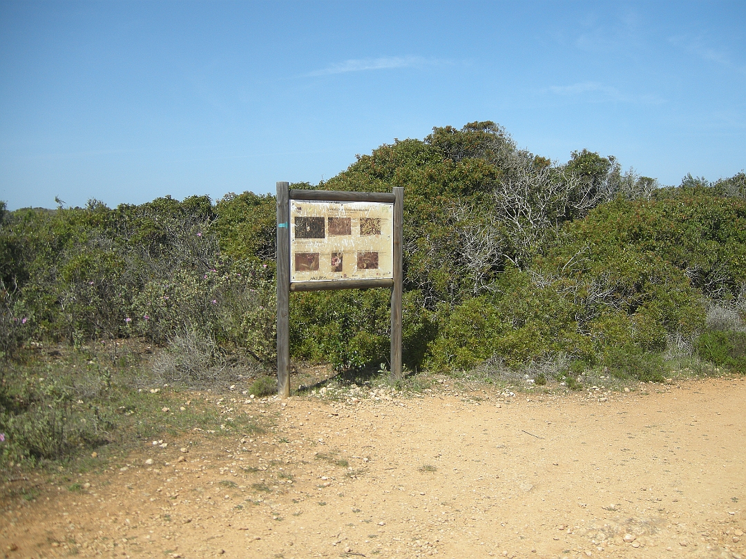 Algarve_2022 352